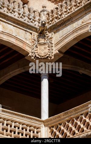 Patio de la Casa de las Conchas en Salamanca Stock Photo
