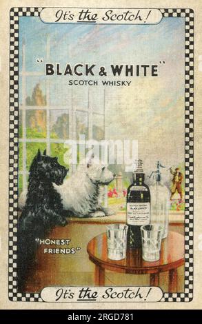 Advert, Black & White Scotch Whisky, with dogs - Honest Friends Stock Photo