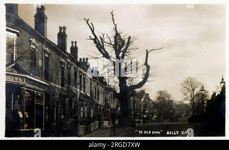 'Ye Old Oak' at Selly Oak, Bournville, Birmingham. Athough a much-loved local landmark, the roots began to cause issues with the local house and in 1909 the rather-rotten tree was felled. The stump was saved and can still be seen in a local park. Stock Photo