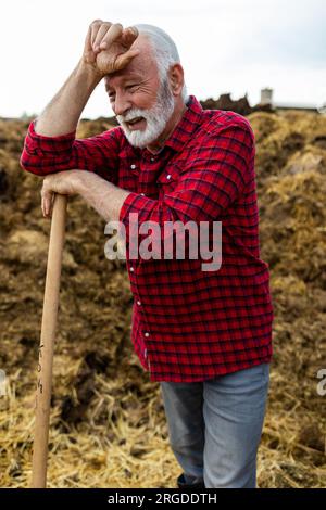 Mature farmer leaning on shovel, resting from cleaning barn with bunch of dung in background Stock Photo