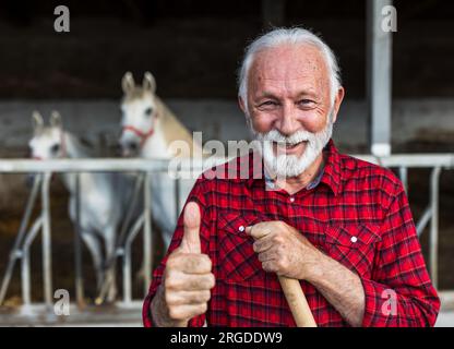 Mature farmer showing thumb up after cleaning barn, lipizzaners in background Stock Photo