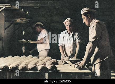 German prisoners in Britain post-World War Two. Rolling dough for the camp's bread, a highly skilled job performed by prisoners who were all bakers before the war, with excellent results. The ILN writes that the prisoners have only one real complaint - uncertainty, and that at the time of writing the British Government had not yet announced its future plans even though hostilities ceased over a year before. Stock Photo