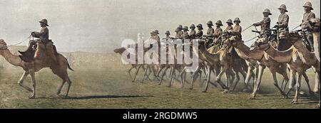 A British Camel Corps in the Sudan during the First World War.  A similar Camel Corps to that shown helped to defeat the troops of the Sultan of Darfur (Ali Dinar) with Brtish casualties less than 30 compared to around 1000 of the enemy. Stock Photo