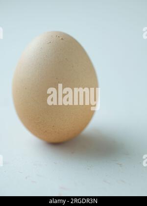 One whole egg on white Stock Photo