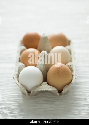 Eggs in cardboard carton on white Stock Photo
