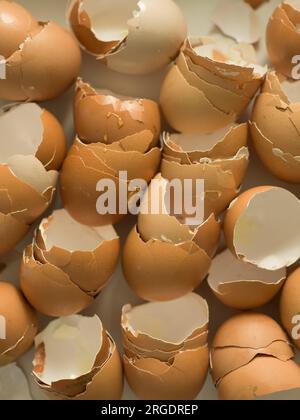Broken egg shells Stock Photo