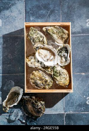fresh raw oysters on ice in a wooden box, top view Stock Photo