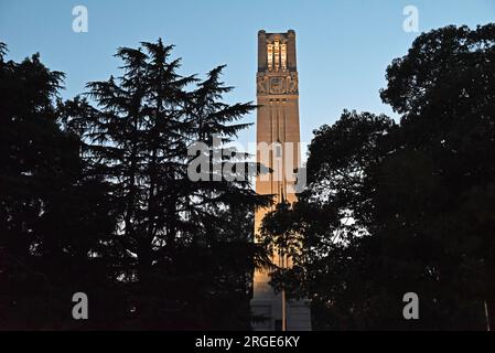 The illuminated Memorial Belltower rises above silhouetted trees on the campus of North Carolina State University in Raleigh. Stock Photo