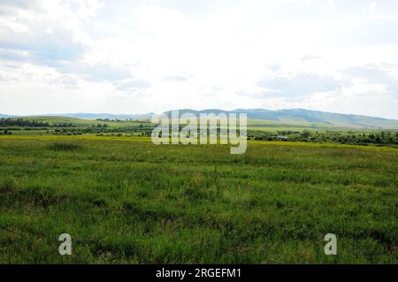 Endless steppe with tall green grass at the foot of a mountain range under a cloudy summer sky. Khakassia, Siberia, Russia. Stock Photo