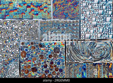 Highly detailed and colorful abstract closeup of succulent garden, digitally enhanced Stock Photo
