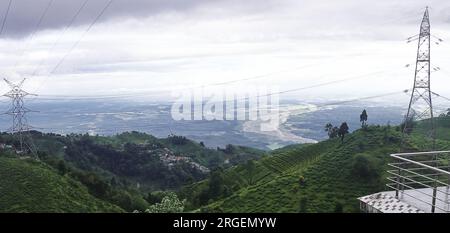 lush green tea garden and mechi river valley from tingling view point at mirik near darjeeling hill station in west bengal, india Stock Photo