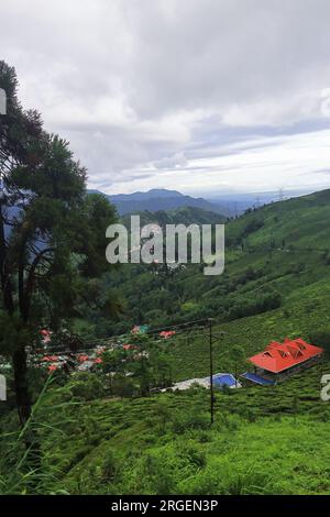 lush green tea garden and mountainscape of himalayan foothills from tingling view point at mirik near darjeeling hill station in west bengal, india Stock Photo