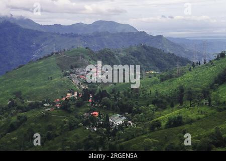 lush green tea garden and mountainscape of himalayan foothills from tingling view point at mirik near darjeeling hill station in west bengal, india Stock Photo