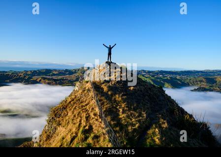 Hiker on top of Te Mata Peak, New Zealand Stock Photo