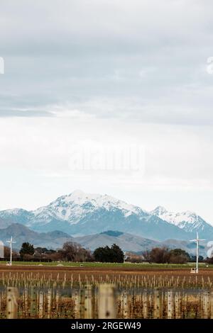 A shot taken overlooking a vineyard in Blenheim New Zealand. The background has a beautiful shoy mountain Stock Photo