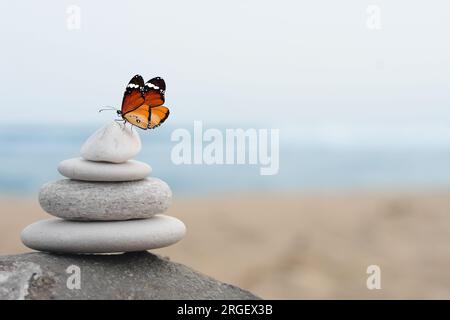 Peace and harmony. Stacked pebbles on sand and beautiful butterfly near sea, space for text Stock Photo