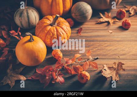 Thanksgiving and autumn background decoration with different pumpkins and dried leaves on wooden background Stock Photo