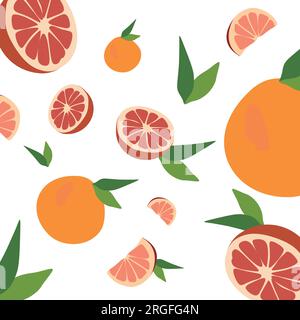 Fresh Grapefruit set. Vector flat style illustration. Bright vector collection of colorful juicy Grapefruits isolated on white. Stock Vector