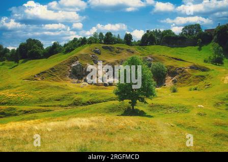 Green tree grows on a valley near rock Stock Photo