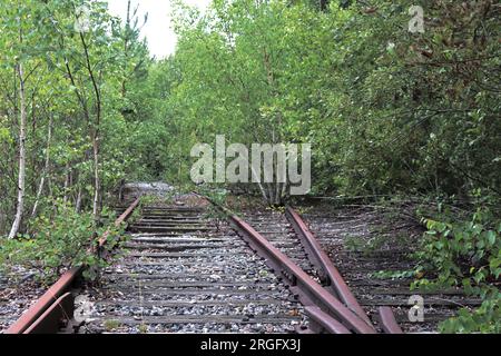 Abandoned railway tracks overtaken by dense green vegetation in a forested area. Stock Photo