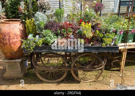 Wheeled trolley display / planting presentation / displayed plants at Petersham Nurseries, Petersham. Richmond Upon Thames. UK. (134) Stock Photo