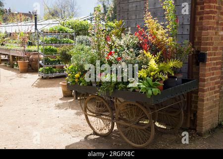 Wheeled trolley display / planting presentation / displayed plants at Petersham Nurseries, Petersham. Richmond Upon Thames. UK. (134) Stock Photo