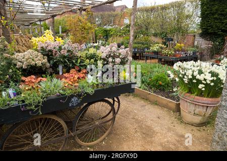 Wheeled trolley display / planting presentation / displayed plants at Petersham Nurseries, Petersham. Richmond Upon Thames. UK. (134) Stock Photo