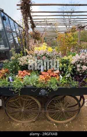 Wheeled trolley display / planting presentation / displayed plants at Petersham Nurseries, Petersham. Richmond Upon Thames. UK. (134) Stock Photo