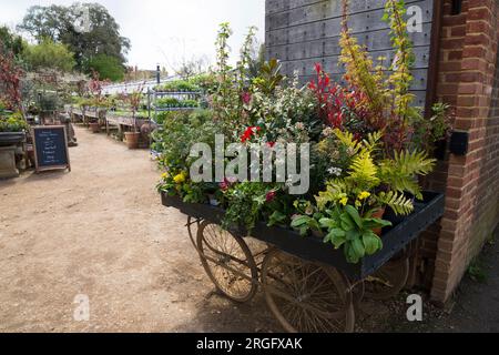 Wheeled trolley display / planting presentation / displayed plants at Petersham Nurseries, Petersham. Richmond Upon Thames. UK. (134) Stock Photo