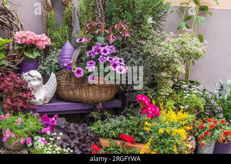 Various blooming spring flowers in pots as a decoration in front of a house Stock Photo