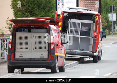 Wintzenheim, France. 09th Aug, 2023. A dog squad was also deployed in the search for the missing. Credit: Philipp von Ditfurth/dpa/Alamy Live News Stock Photo