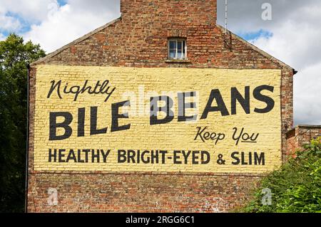 Old Bile Beans advertising mural on end of terraced house, York, North Yorkshire, England, UK Stock Photo