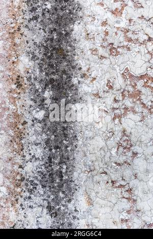 Old grungy concrete wall with old paint and lime as a background or texture Stock Photo