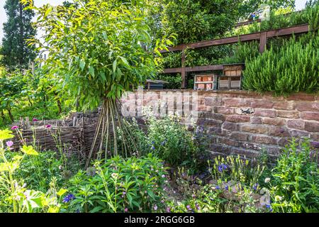 Natural garden with stone wall, native plants and insect hotels, bug hotels, insect houses. Natural gardening concept. Stock Photo