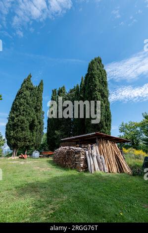 A crow of Cypress trees behind a drying  wood shed in the Apuan Alps, a mountain range near the small village of Mezzana - Monte de' Bianchi in the Tu Stock Photo