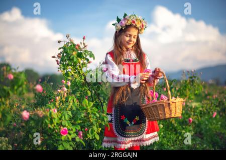 Beautiful girl, young bulgarian woman in ethnic folklore dress enjoying aromatic roses and picking perfumery oil-bearing rose (Rosa Damascena) in Rose Stock Photo