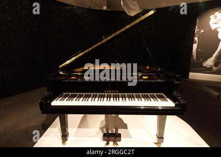 A grand piano in a black lacquered and chinoiserie case by John Broadwood &  Sons, no. 253218, circa 1934, Freddie Mercury: A World of His Own, At  Home, 2023