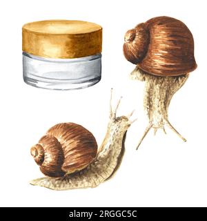 Achatina fulica, giant snail. snail mucin set.  Hand drawn watercolor illustration isolated on white background Stock Photo