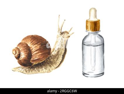 Achatina fulica, giant snail. snail mucin set. Hand drawn watercolor illustration isolated on white background Stock Photo