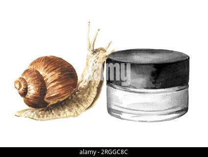 Achatina fulica, giant snail. snail mucin.   Hand drawn watercolor illustration isolated on white background Stock Photo