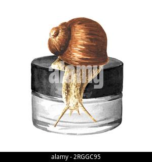 Achatina fulica, giant snail. snail mucin. Hand drawn watercolor illustration isolated on white background Stock Photo