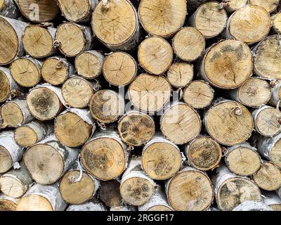 Birch sawn wood is stacked in woodpile, full frame. Wall of old wooden logs. Pattern of annual rings on the cut of tree. Natural background. Selective Stock Photo