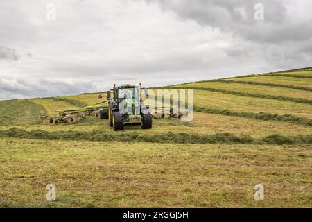 Tractor rowing up during silage making at Little Newton Long Preston, near Hellifield, Yorkshire Dales during a brief weather window, Stock Photo