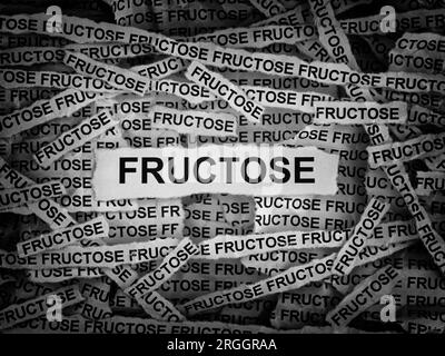 Strips of newspaper with the words Fructose typed on them. Black and white. Close up. Stock Photo