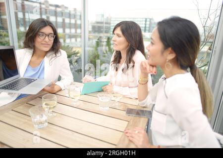 Businesswoman using laptop during restaurant meeting Stock Photo