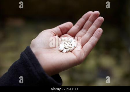 Hand holding seeds Stock Photo