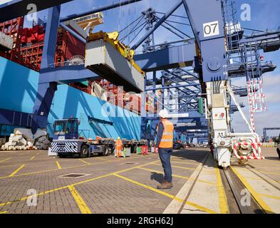 Crane lowering cargo container onto truck at Port of Felixstowe, England Stock Photo