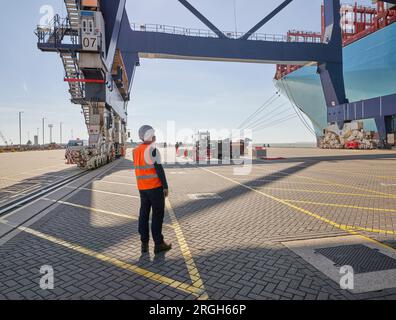 Dock worker at Port of Felixstowe, England Stock Photo