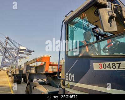 Driver in truck at Port of Felixstowe, England Stock Photo