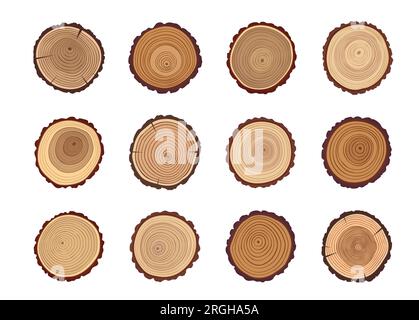 Tree trunks and wood cut stumps with texture of circles or annual growth rings pattern, vector wooden slices. Timber log or tree trunk cuts with age circles, forest lumber sections or round stumps Stock Vector